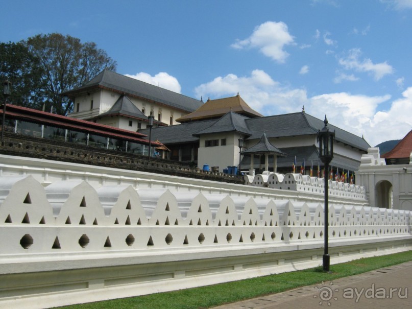 Отдых на Шри - Ланке