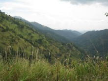 Отдых на Шри - Ланке