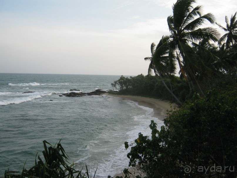 Отдых на Шри - Ланке