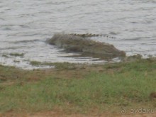 Отдых на Шри - Ланке