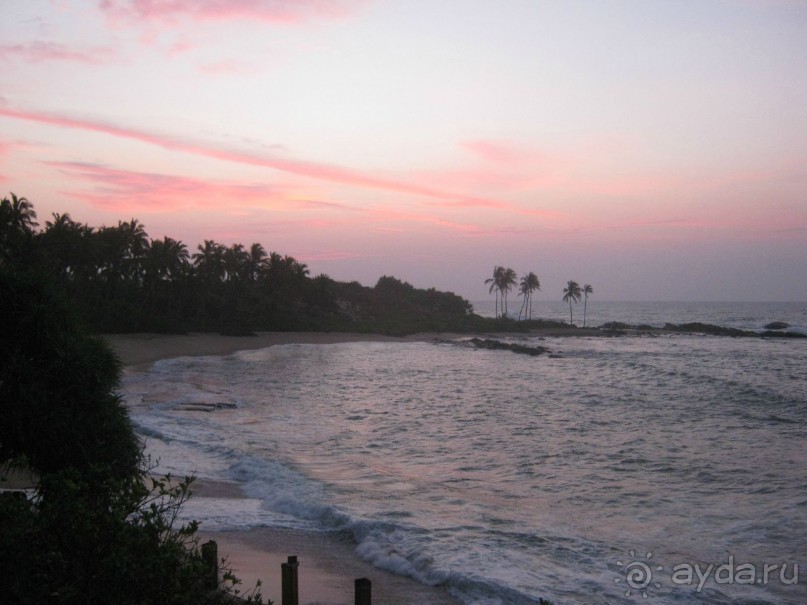 Отдых на Шри - Ланке