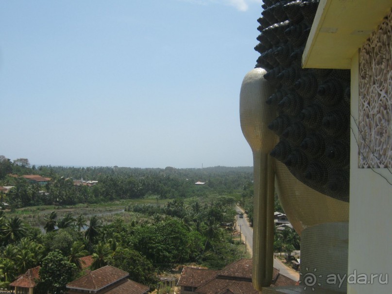 Отдых на Шри - Ланке