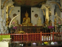 Отдых на Шри - Ланке