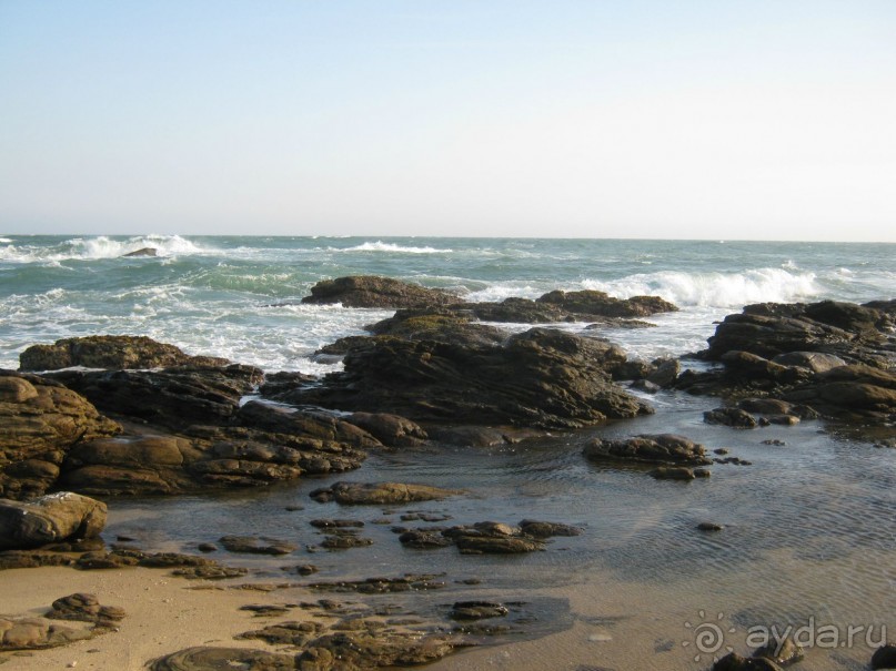 Отдых на Шри - Ланке