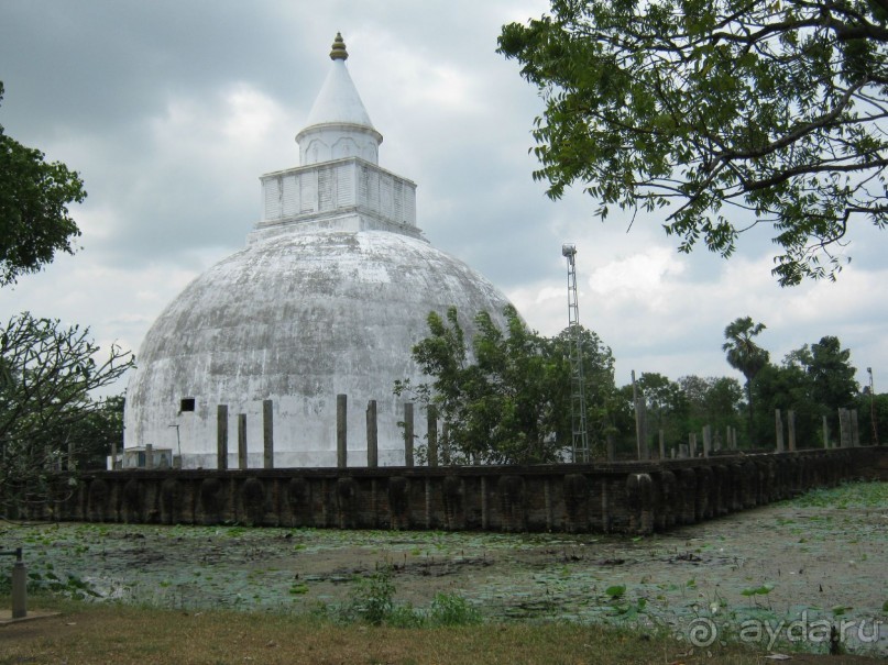 Отдых на Шри - Ланке