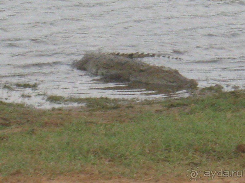 Отдых на Шри - Ланке