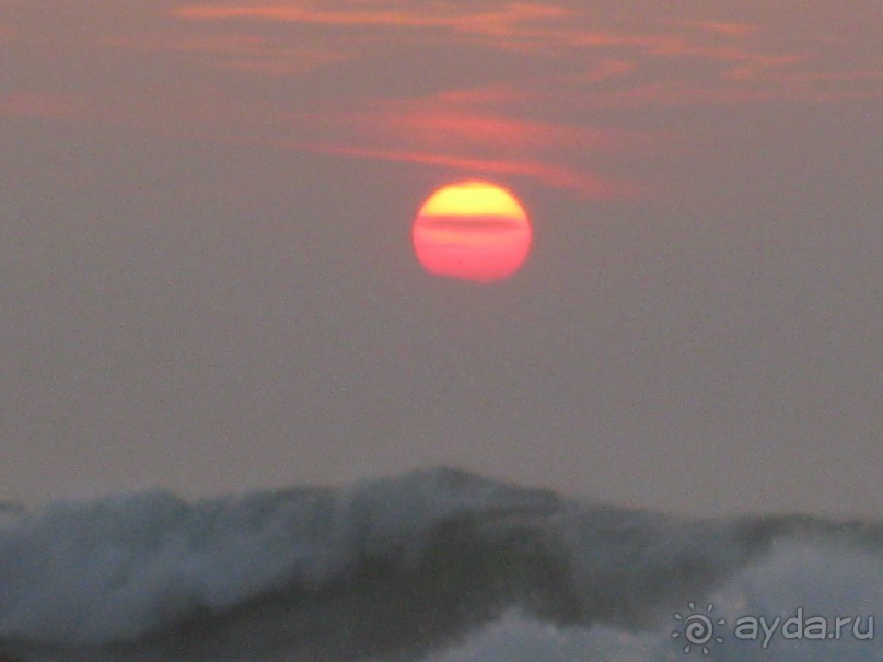 Отдых на Шри - Ланке