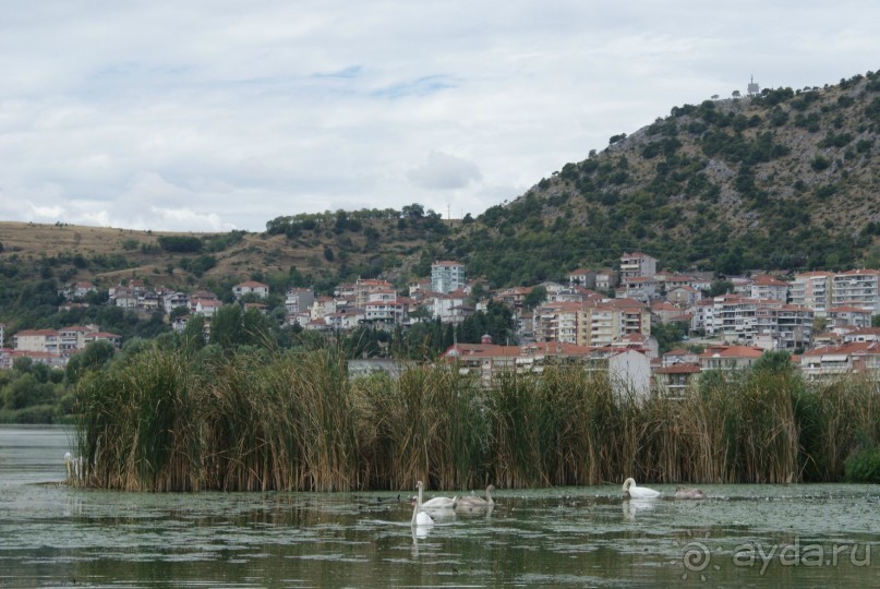 Поездка за "пушистой радостью" в великолепную Касторью 