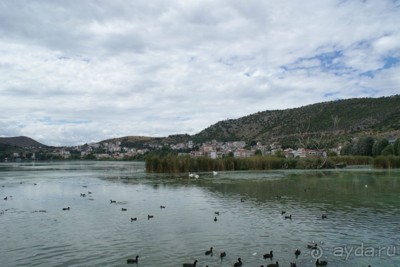Поездка за "пушистой радостью" в великолепную Касторью 