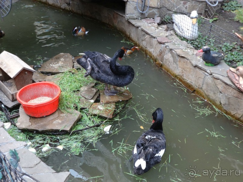 Обязательно приедем ещё.