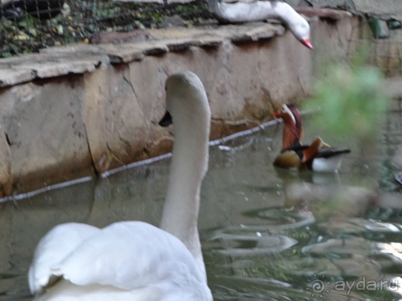 Обязательно приедем ещё.