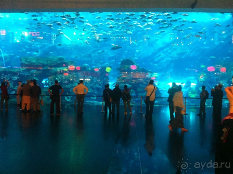 Страна роскоши - ОАЭ январь 2014