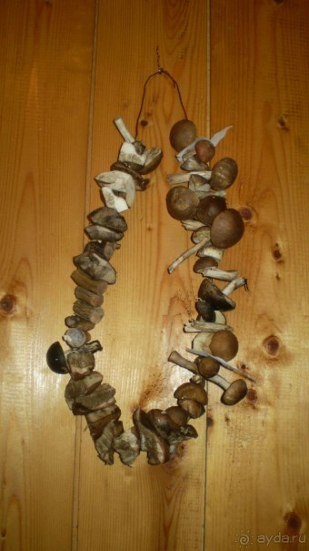 Отдых на Закарпатье