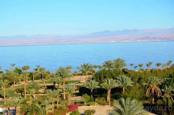 Путешествие по Египту на такси