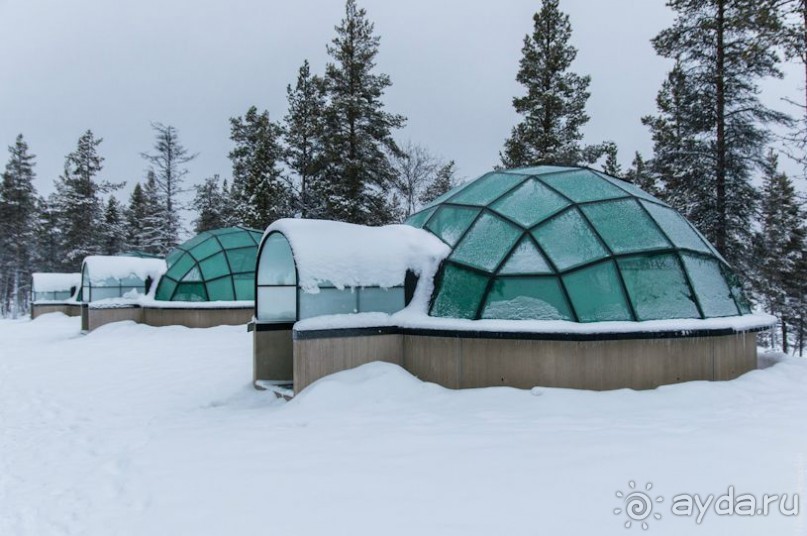 Лапландия зимой - это не только Санта!