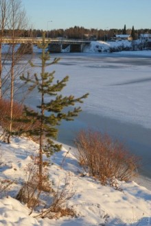 Лапландия зимой - это не только Санта!