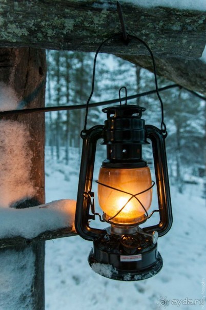 Лапландия зимой - это не только Санта!