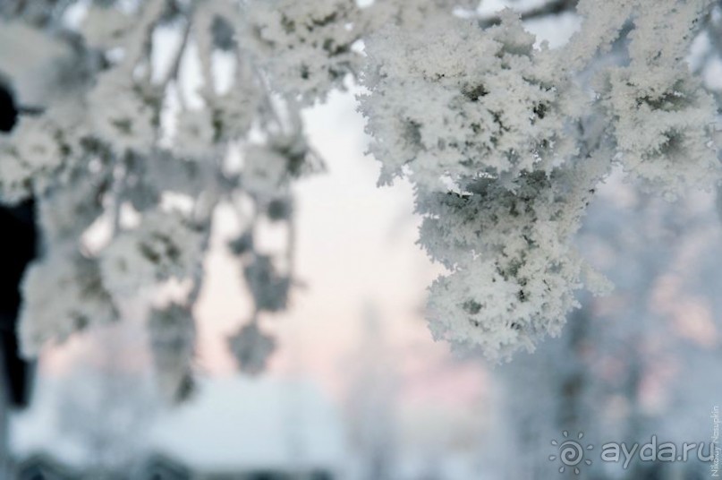 Лапландия зимой - это не только Санта!