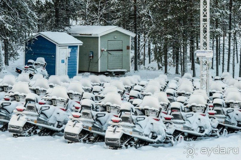Лапландия зимой - это не только Санта!