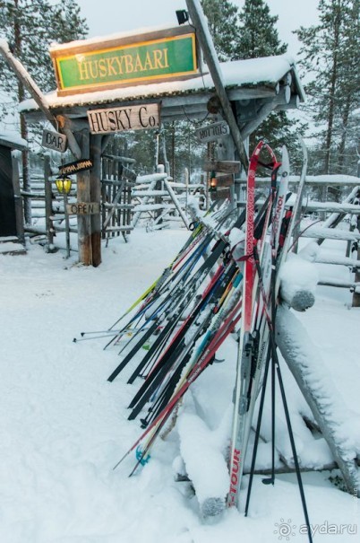 Лапландия зимой - это не только Санта!