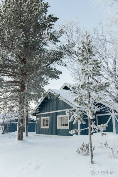 Лапландия зимой - это не только Санта!