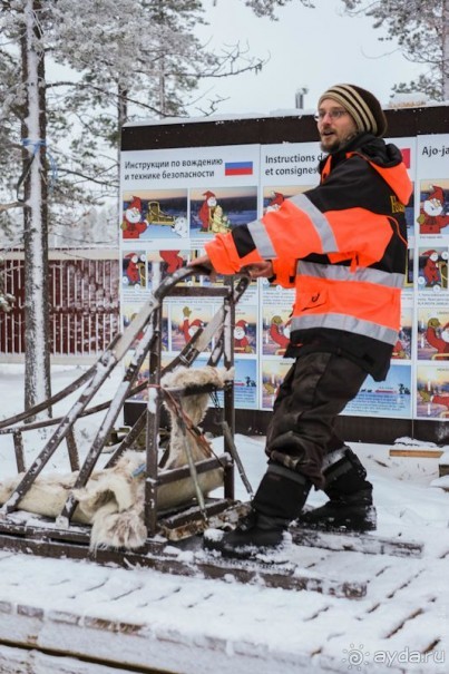 Лапландия зимой - это не только Санта!
