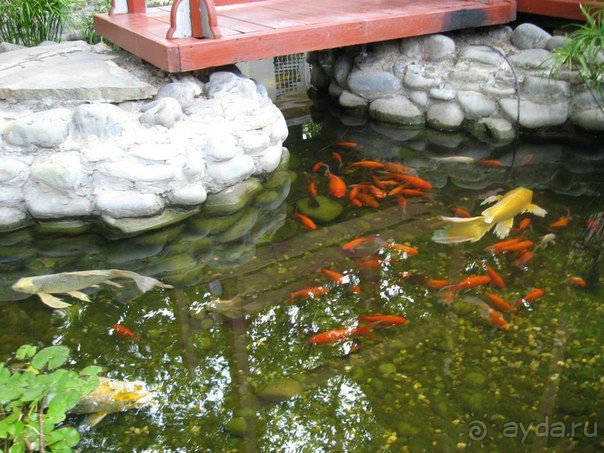 Огромное спасибо за великолепный отдых!