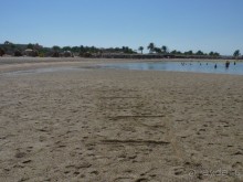 фото Soul Vacation