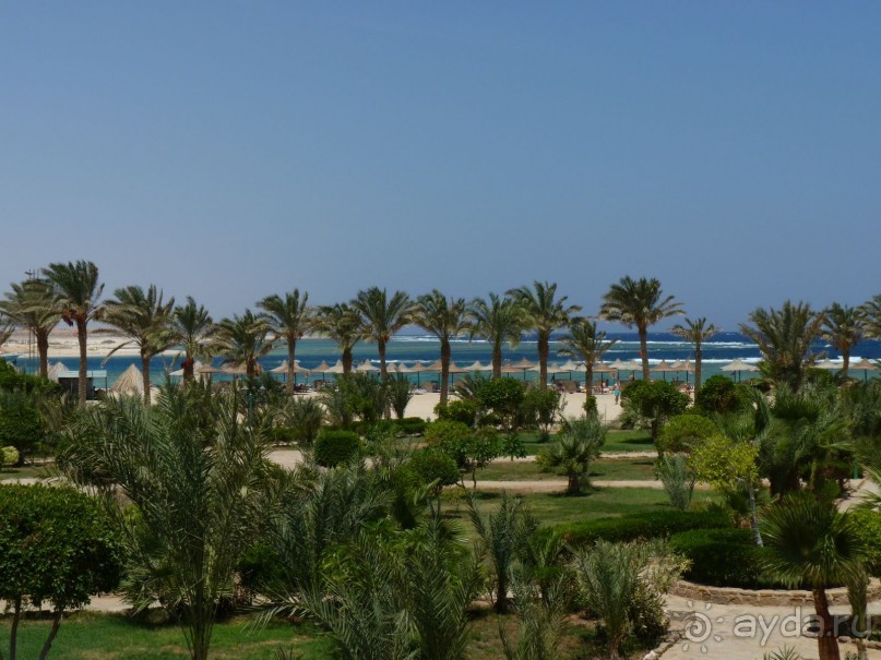 фото Soul Vacation