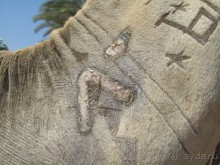 фото Soul Vacation