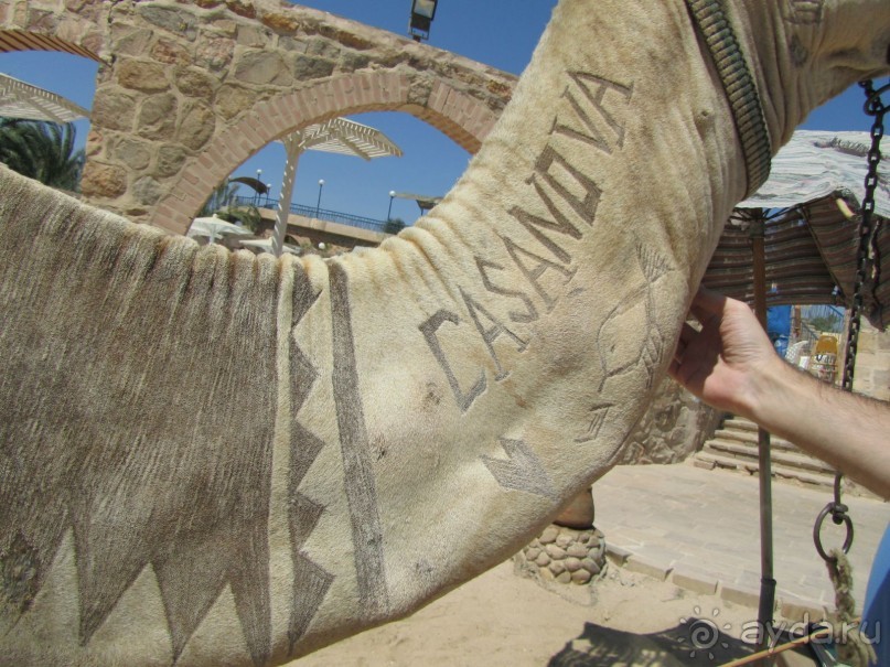 фото Soul Vacation