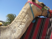 фото Soul Vacation