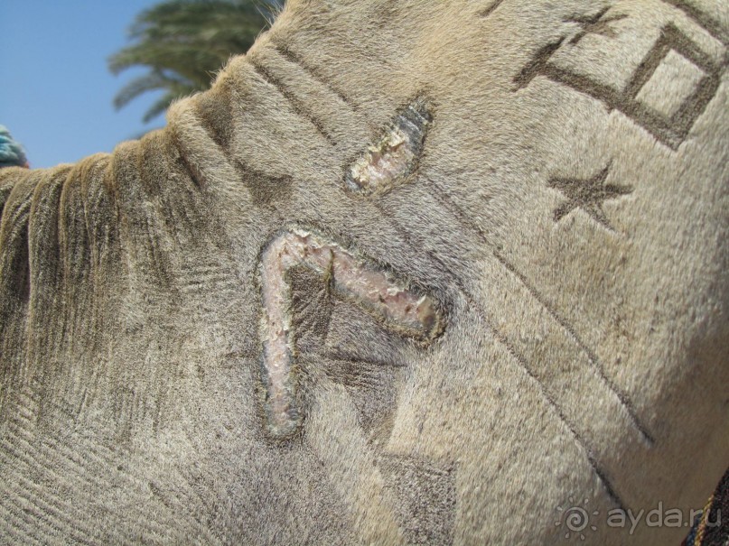 Хорошей оценки заслуживает только море!!!!