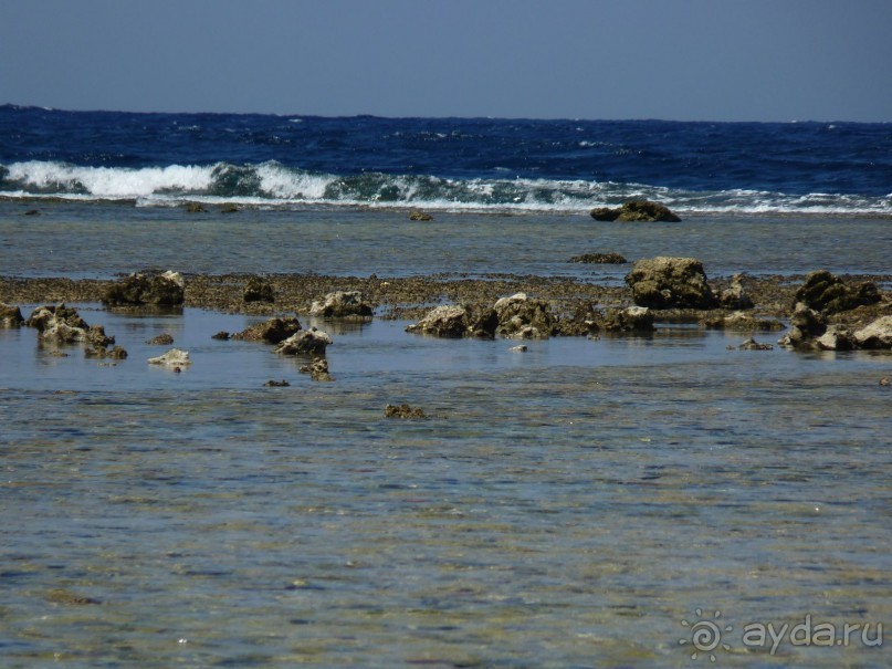 Вот так выглядят рифы при отливе.