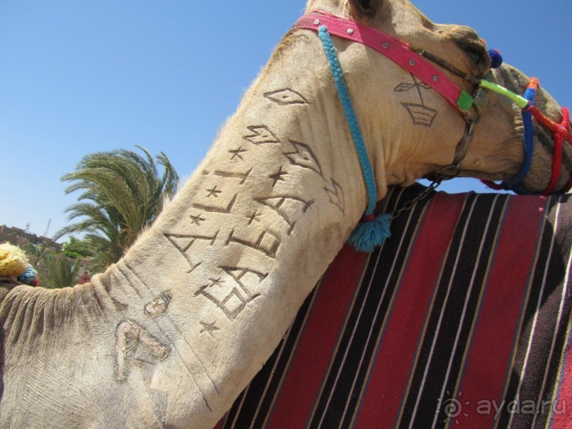 Хорошей оценки заслуживает только море!!!!