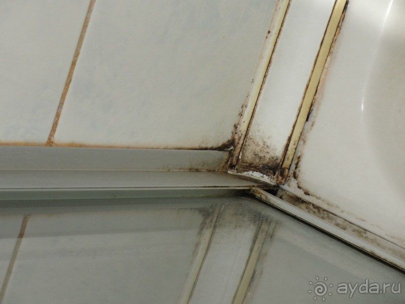 В этом отеле жить опасно для здоровья