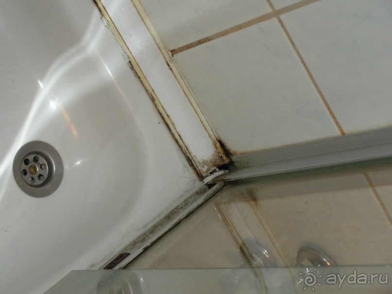 В этом отеле жить опасно для здоровья