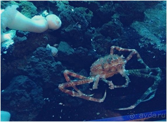 О том, что мы повидали в Сеуле не только........................