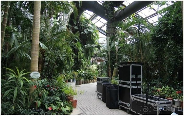 Альбом отзыва "О том, что мы повидали в Сеуле не только........................"