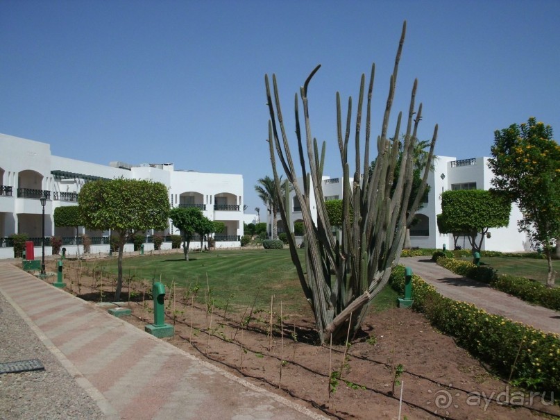 Очень средненько