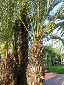 доступная цена - доступный сервис