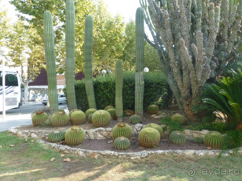 доступная цена - доступный сервис