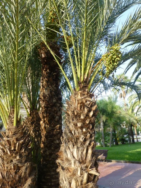 доступная цена - доступный сервис