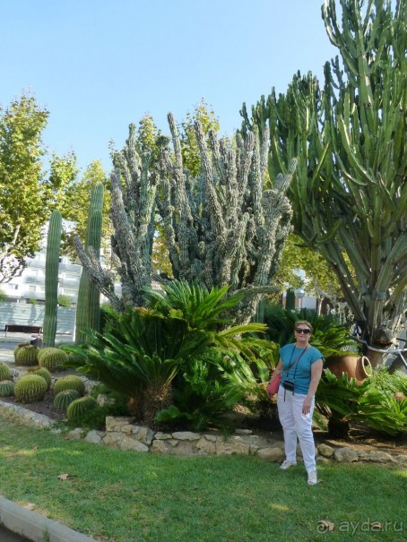 доступная цена - доступный сервис