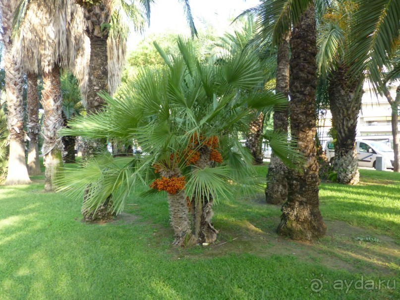 доступная цена - доступный сервис