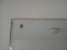 фото Ambassador Chennai