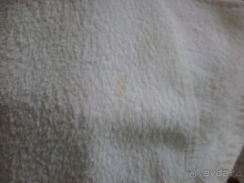 фото Ambassador Chennai