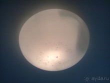 Не довольны отелем