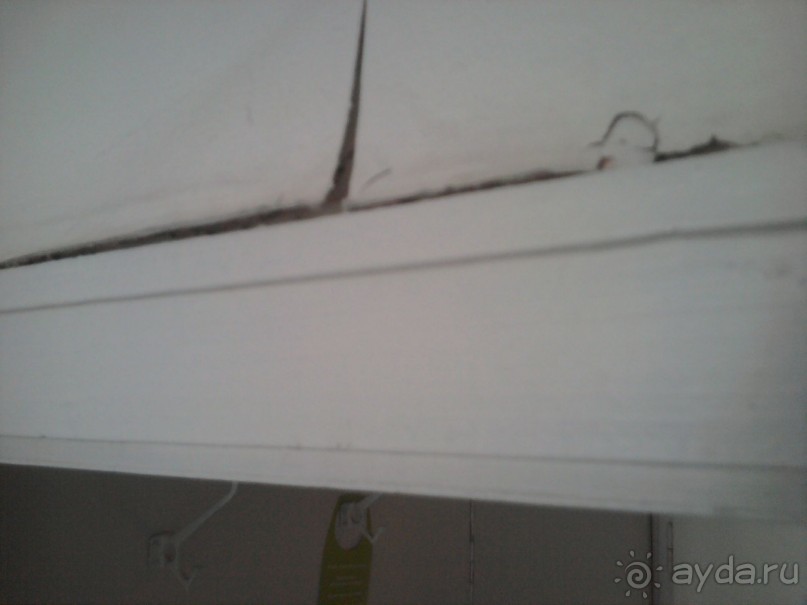 фото Ambassador Chennai