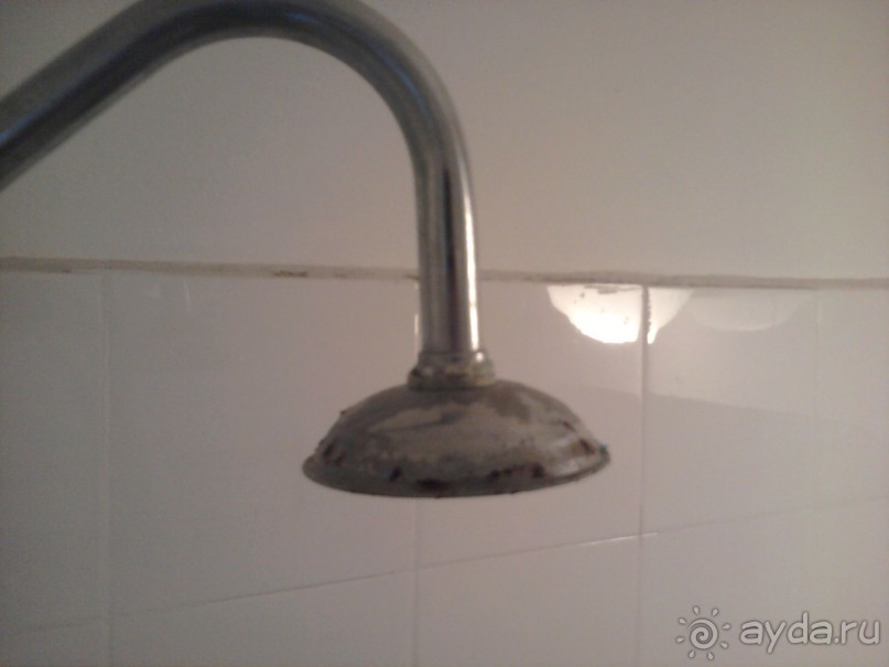 фото Ambassador Chennai